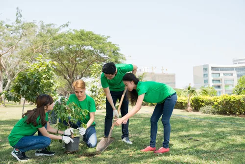 Children in green shirts planting a young tree in a park