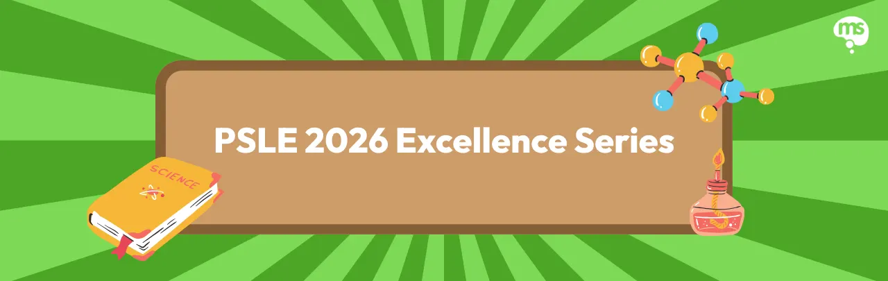 PSLE 2026 Excellence Series