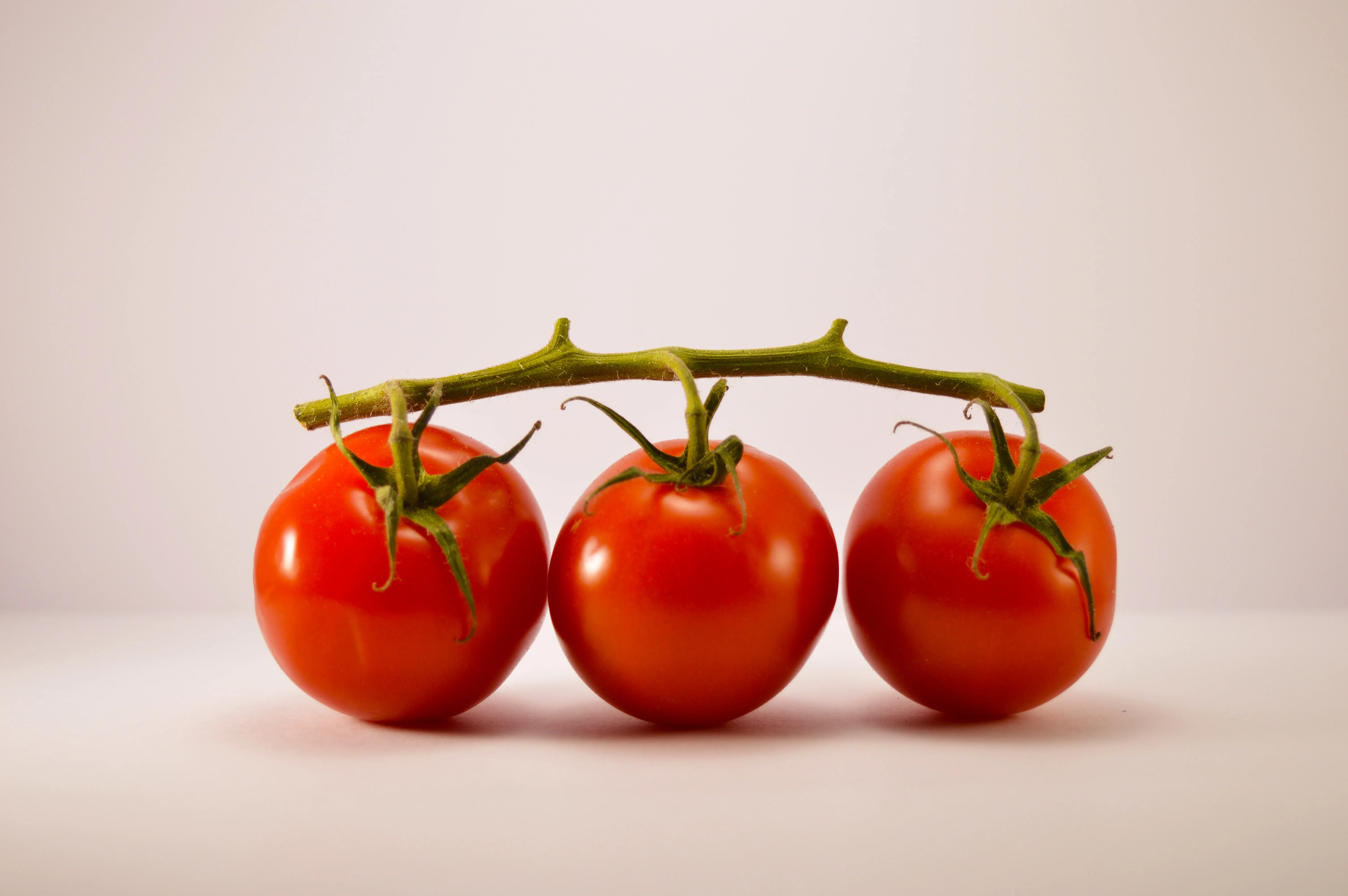 Three tomatoes on the vine — the pomodoro the method is named after