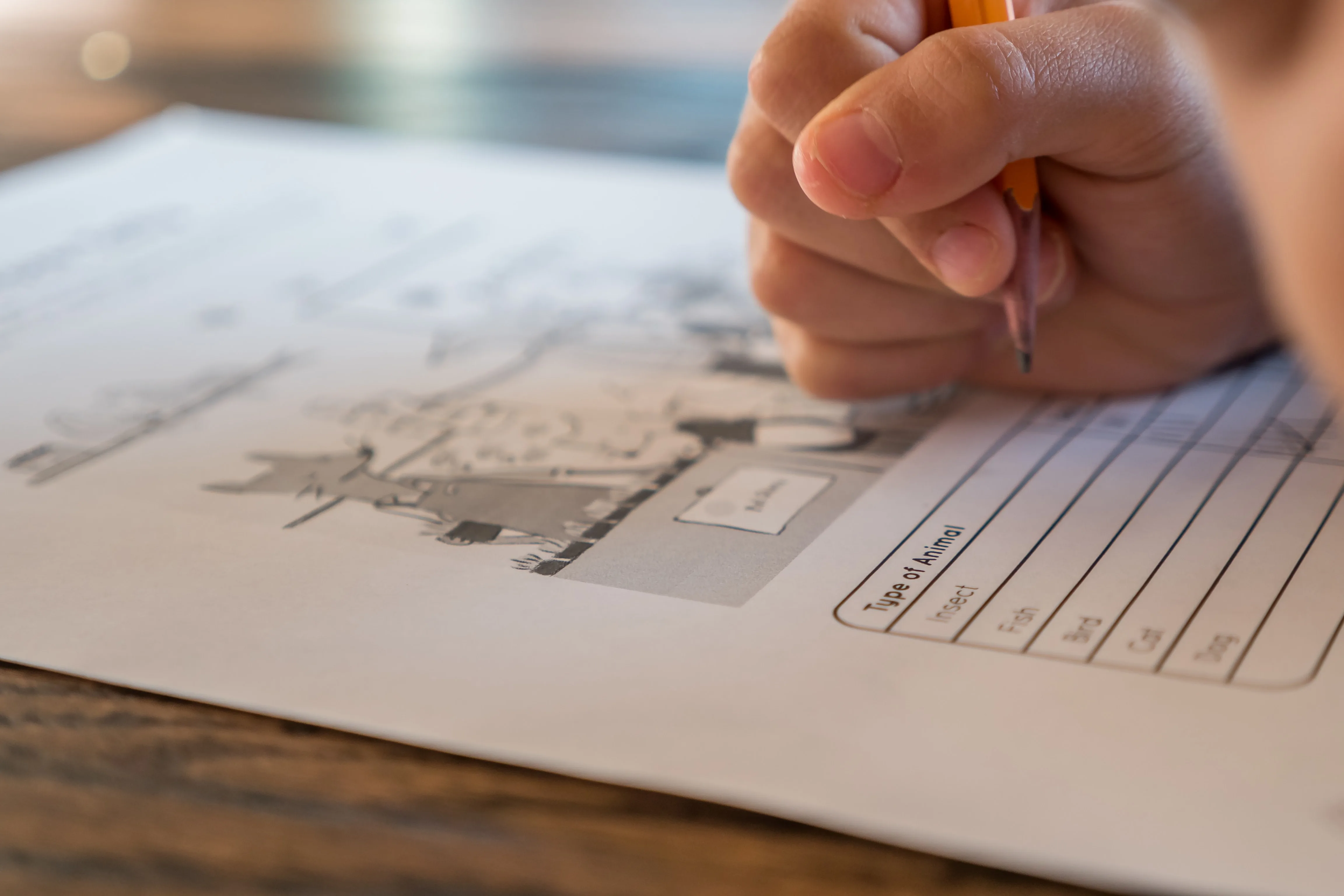 A hand writing on a worksheet with a pencil