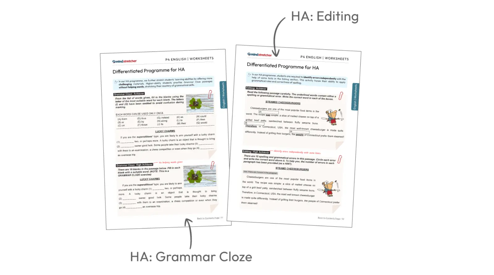 A spread of Mind Stretcher Primary 4 English Differentiated Programme for HA materials
