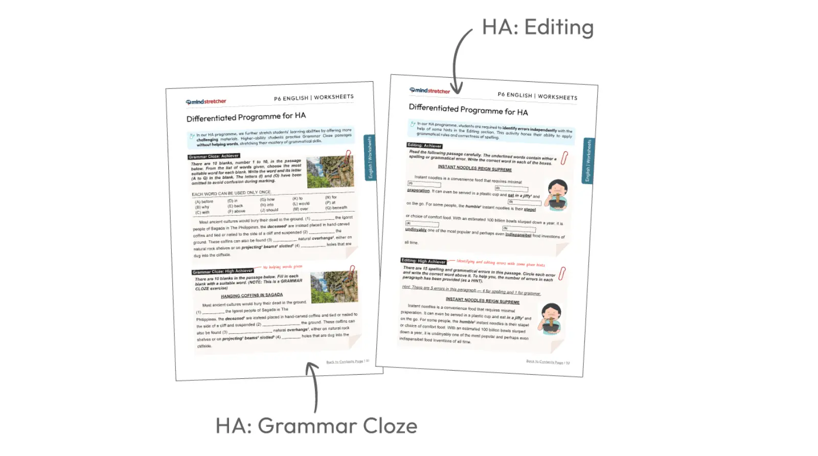 A spread of Mind Stretcher Primary 6 English Differentiated Programme for HA materials