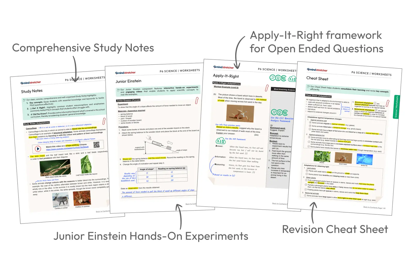 A spread of Mind Stretcher Primary 6 Science curriculum materials