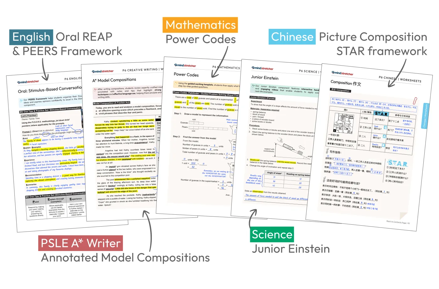 Primary 6 annotated curriculum materials: worksheets for each subject
