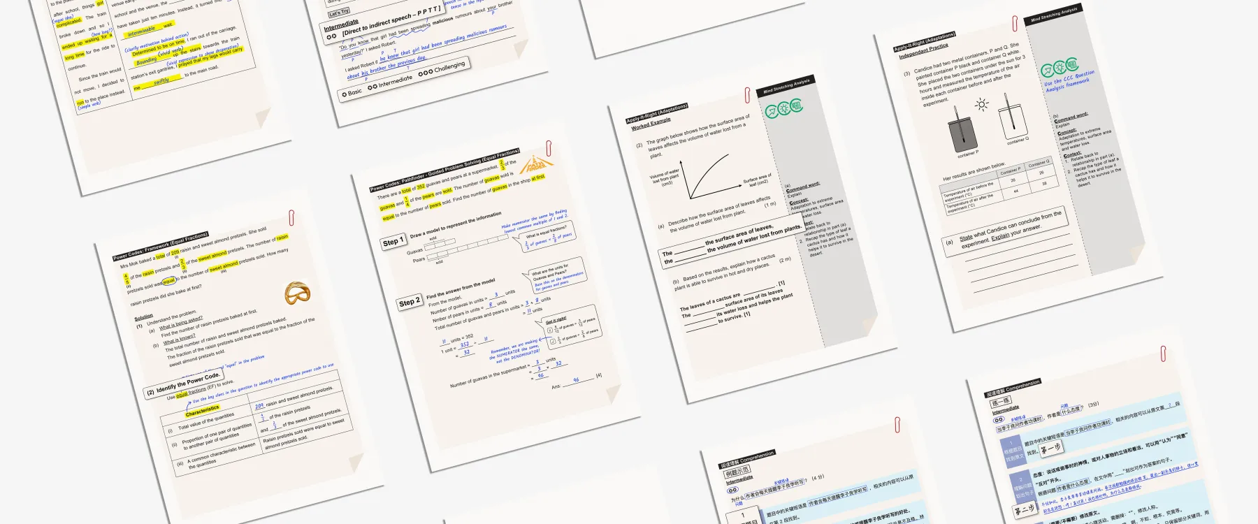 Primary 6 curriculum worksheets
