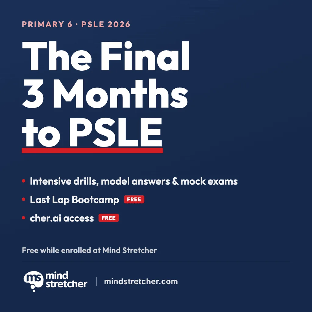 The Final 3 Months to PSLE